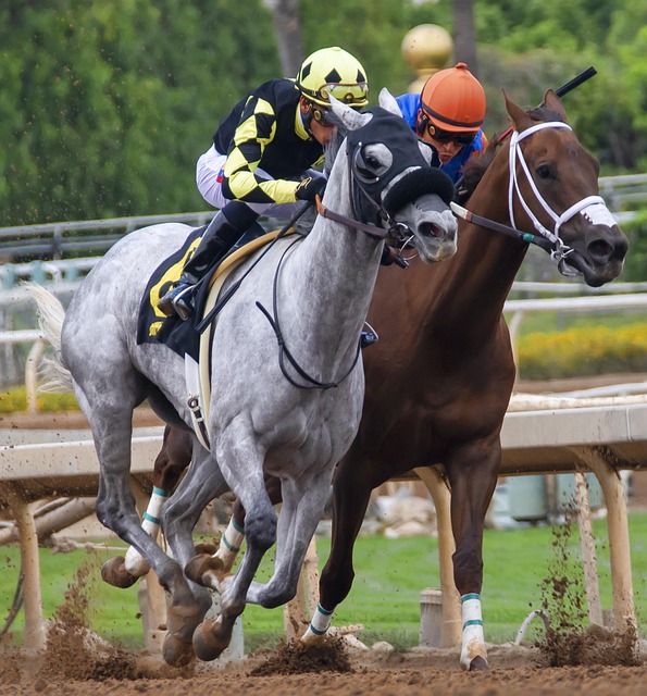 违规都可能 违规都可能