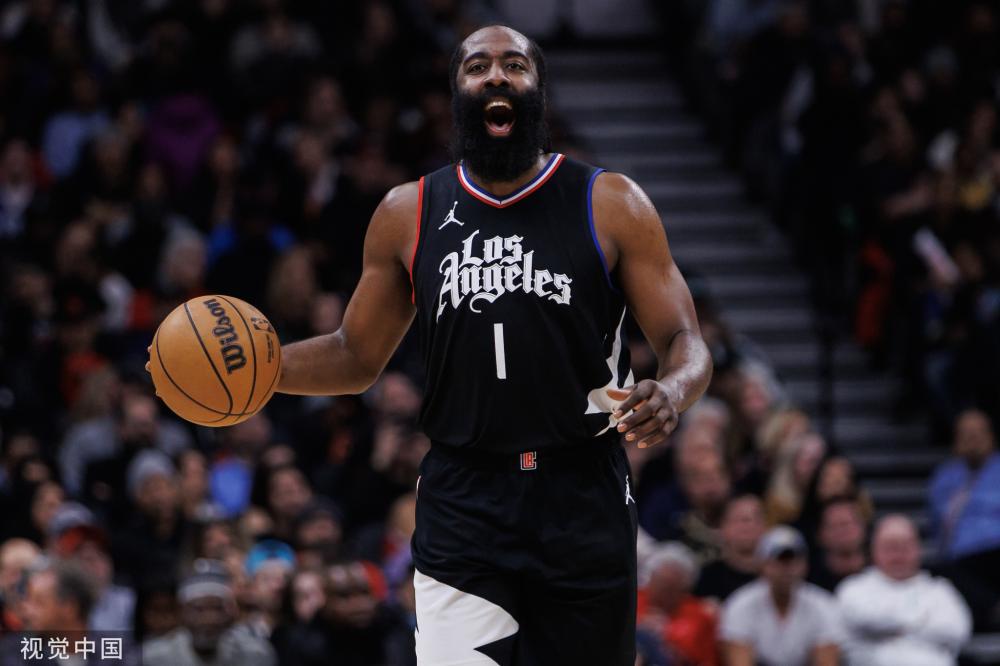 战略和适应 战略和适应